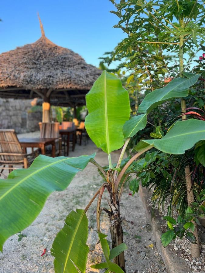 Mbuyuni Lodge نونغوي المظهر الخارجي الصورة